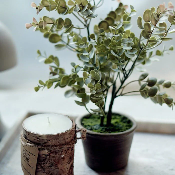 Artificial Potted Eucalyptus Bush - Image 3