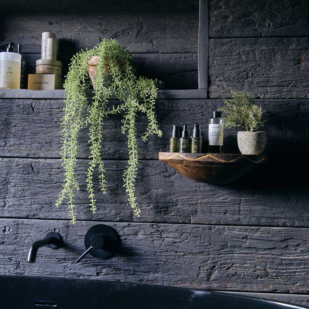 Artificial Potted String of Pearls - Image 4