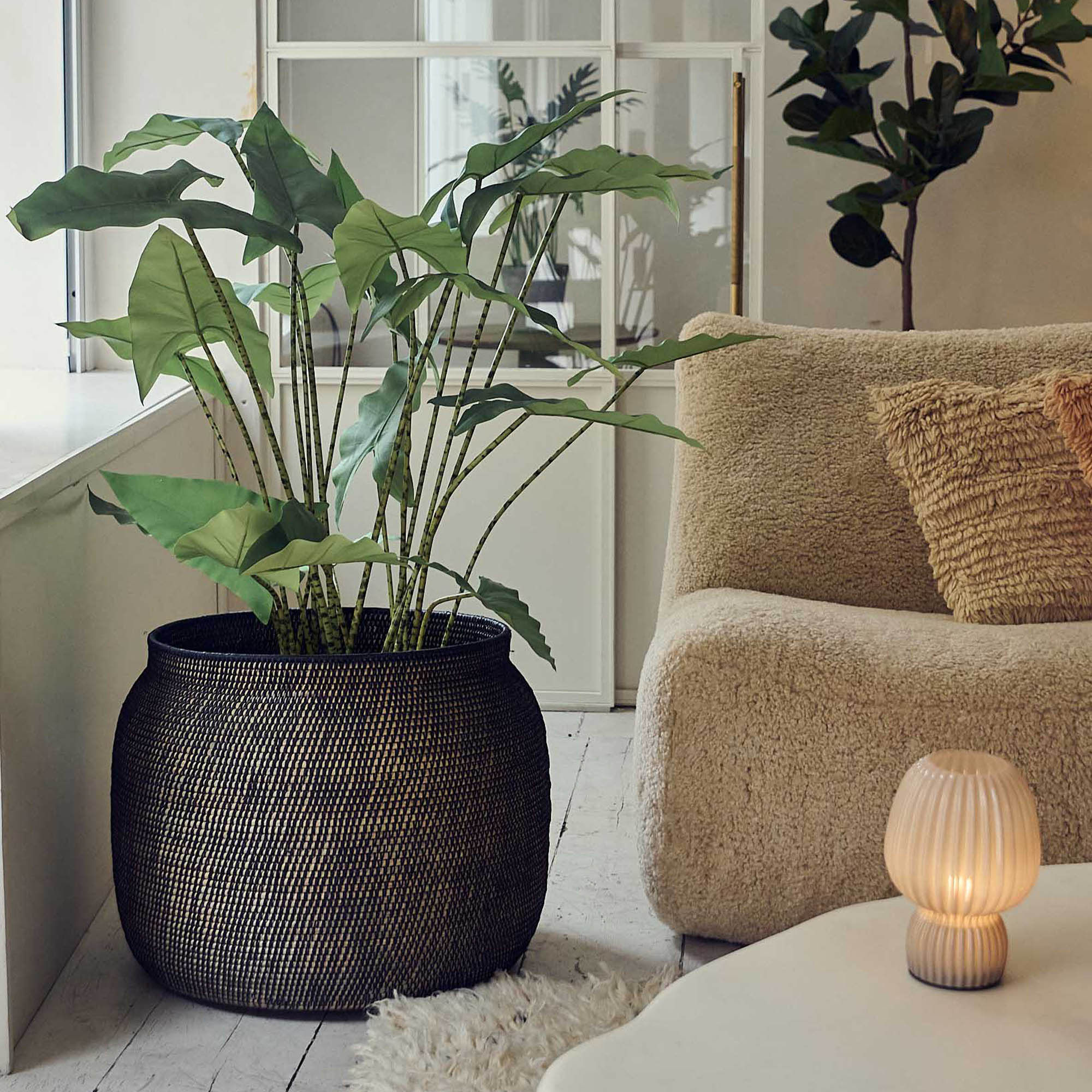 Artificial Potted Zebra Plant - Large - Image 4