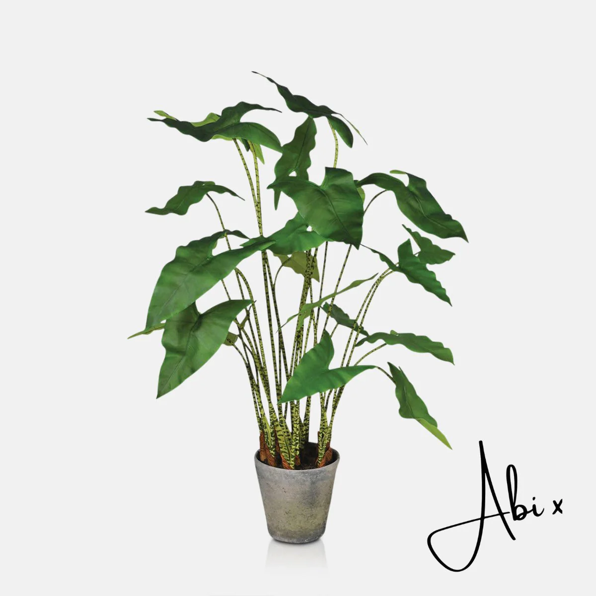 Artificial Potted Zebra Plant - Large - Image 6