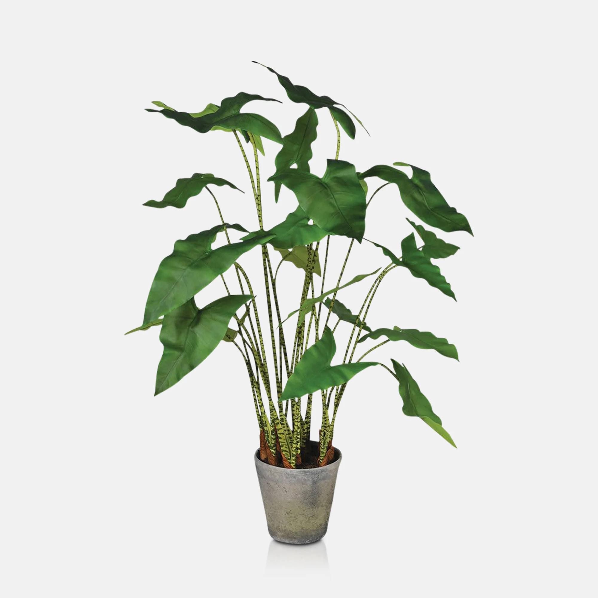 Artificial Potted Zebra Plant - Large - Image 7