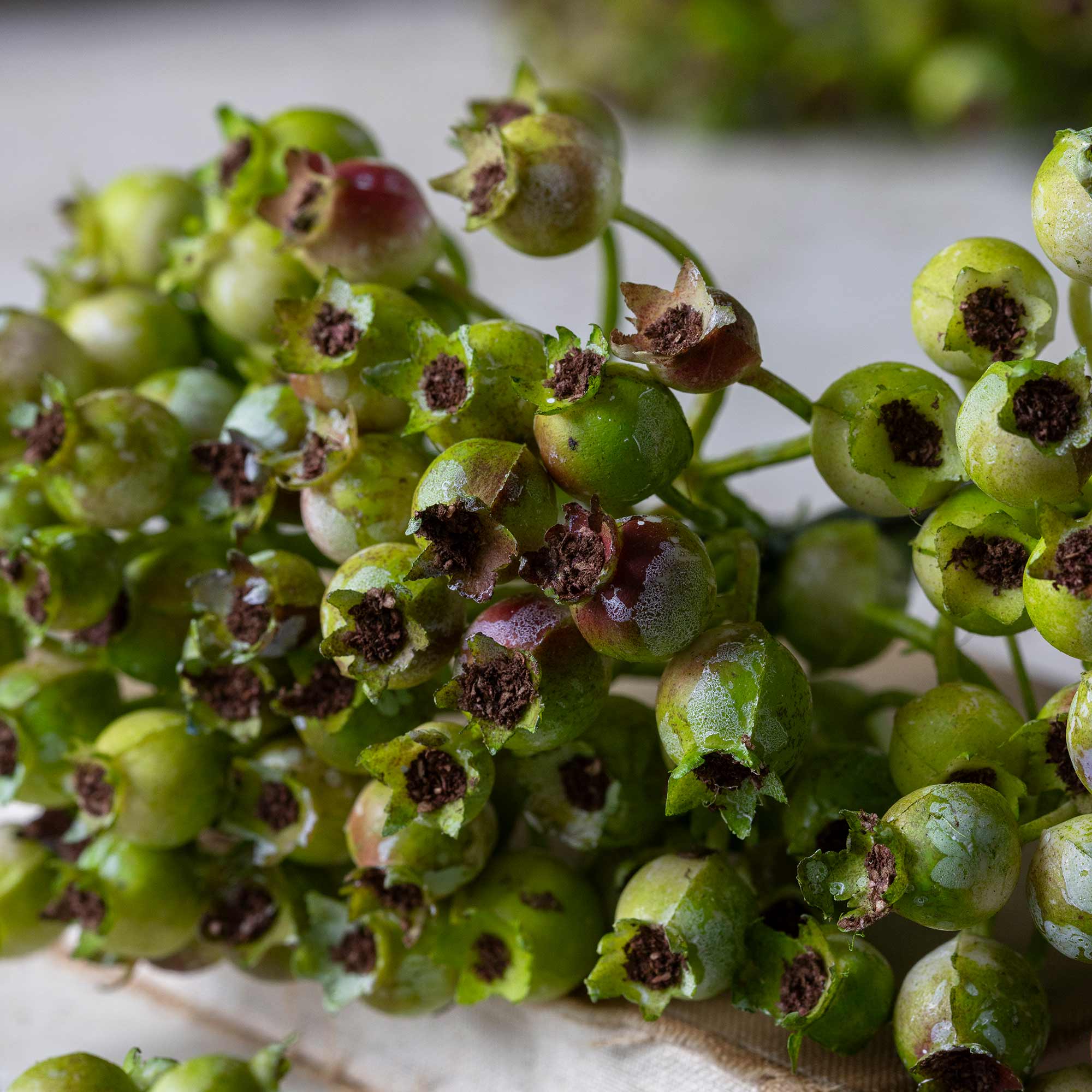 Artificial Rosehip Bunch, Olive - Image 6
