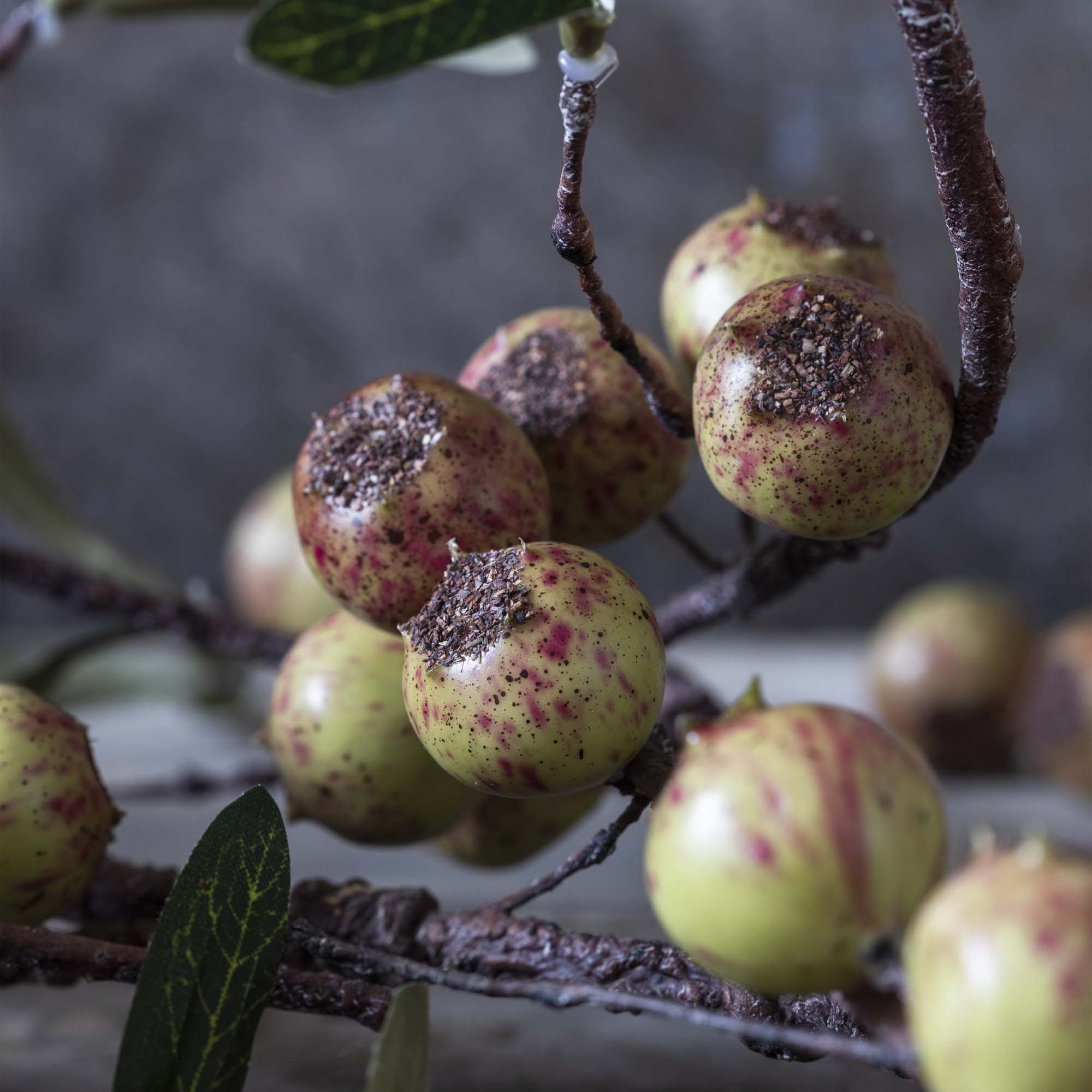 Artificial Rosehip, Dappled - Image 2