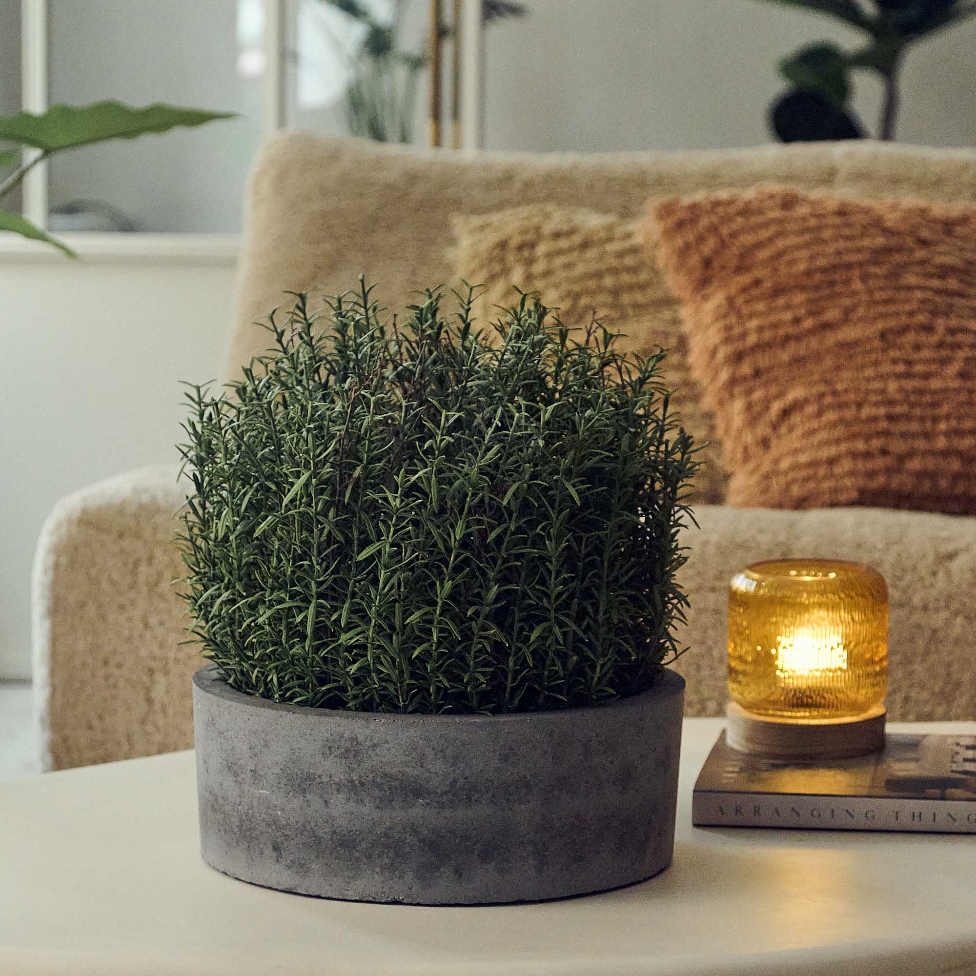 Artificial Rosemary Plant - Image 4