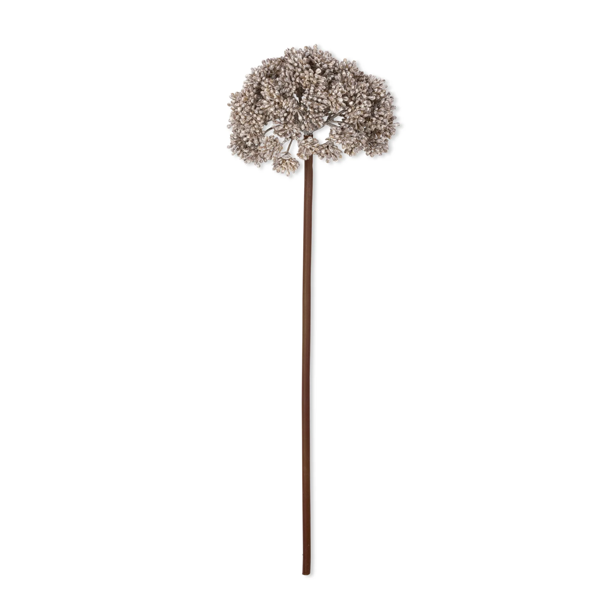 Artificial Sedum, Cloud - Image 3