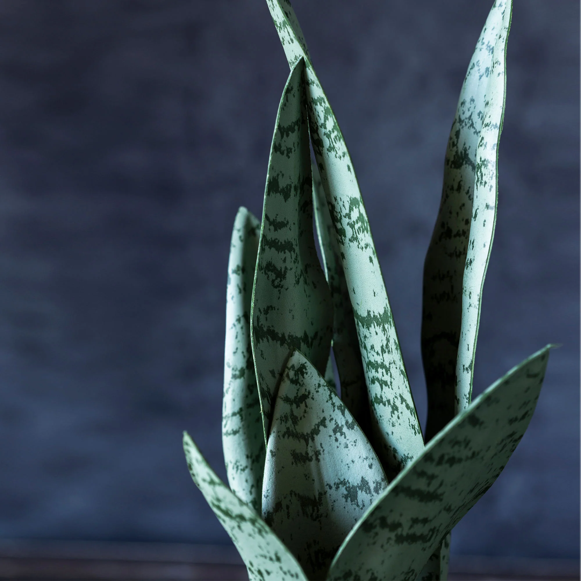 Artificial Snake Plant - Image 3