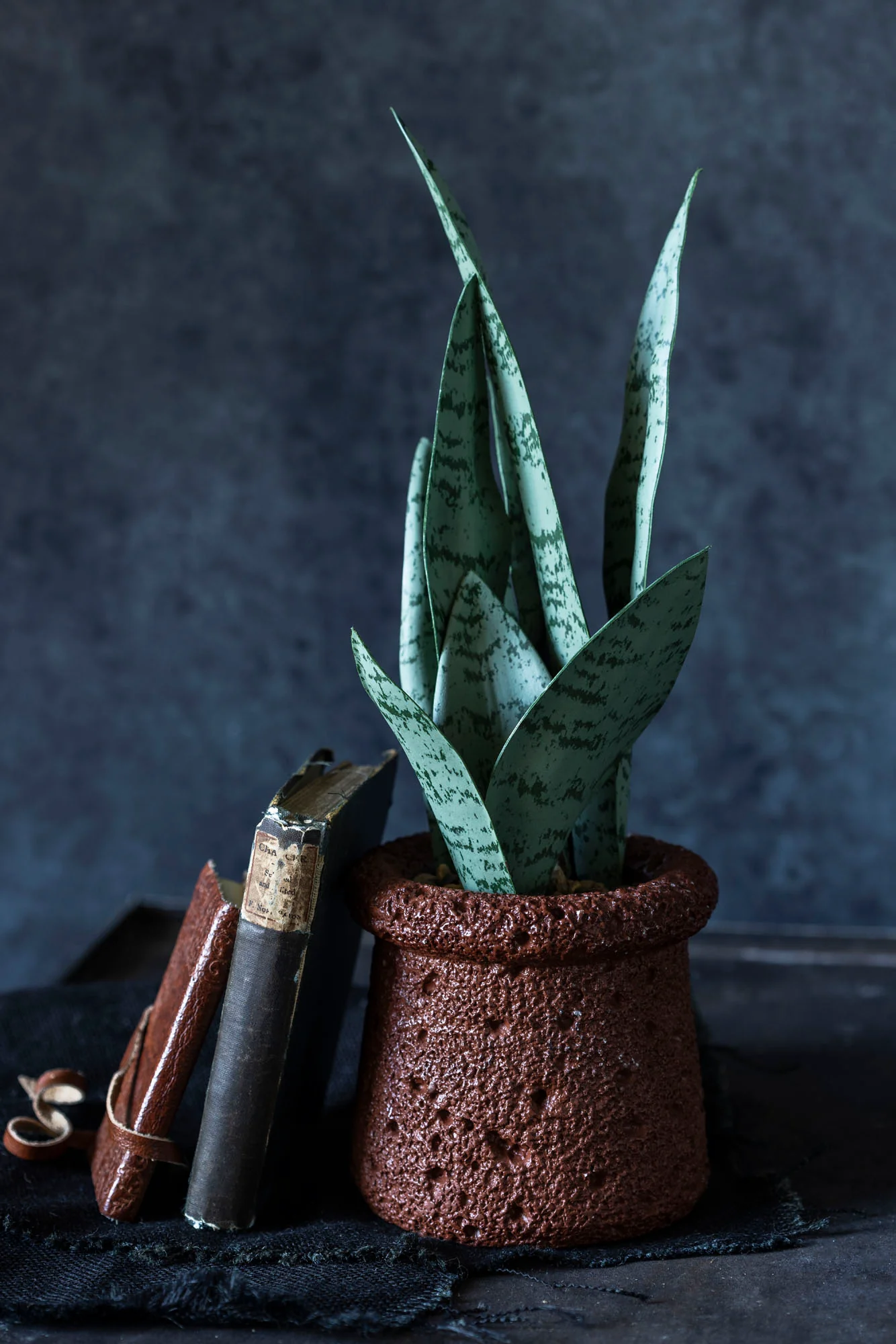 Artificial Snake Plant - Image 4