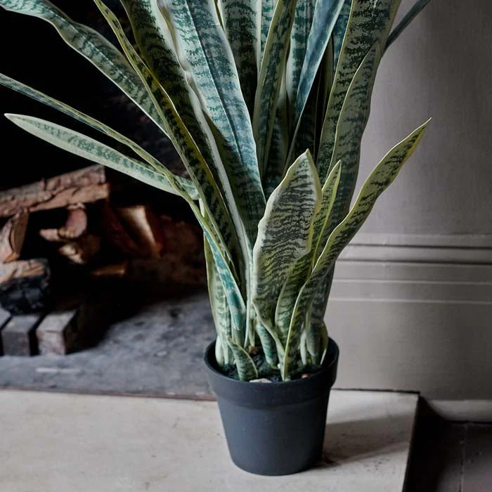 Artificial Snake Plant in Pot - Image 3