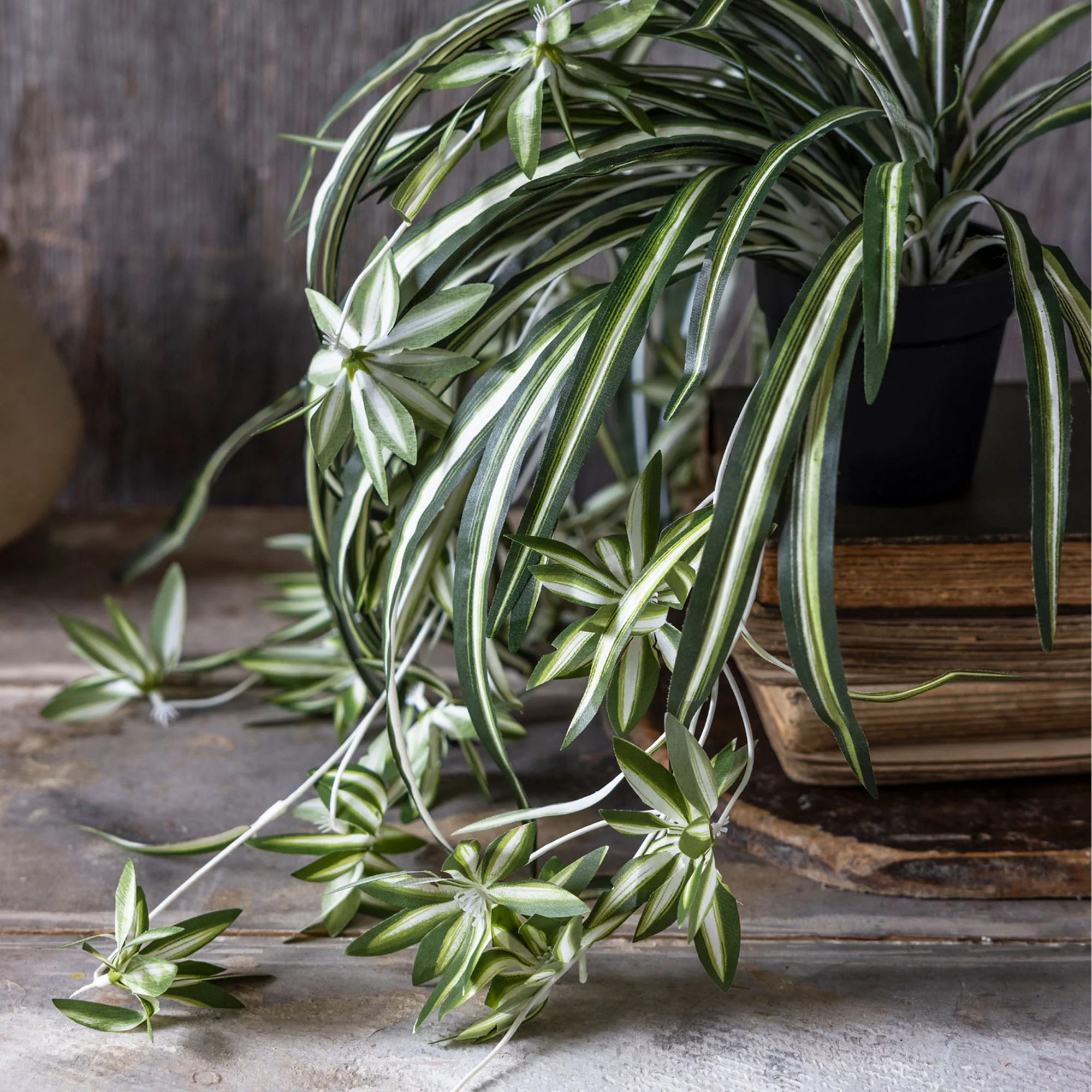 Artificial Spider Plant - Image 4
