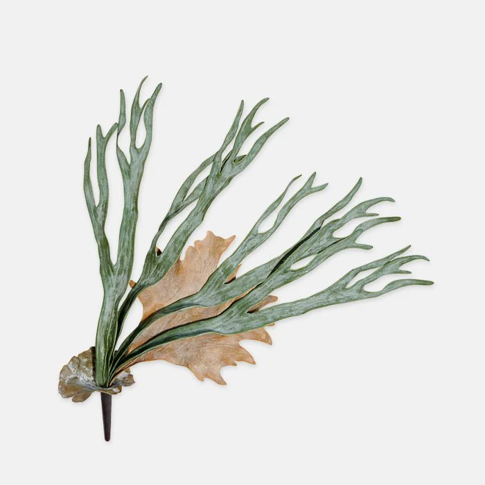 Artificial Staghorn Fern Stem - Image 2