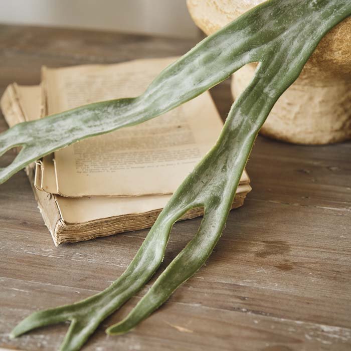 Artificial Staghorn Fern Stem - Image 3