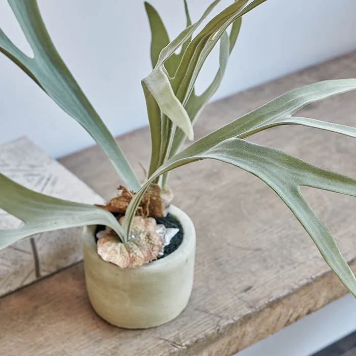Artificial Staghorn Plant - Image 3