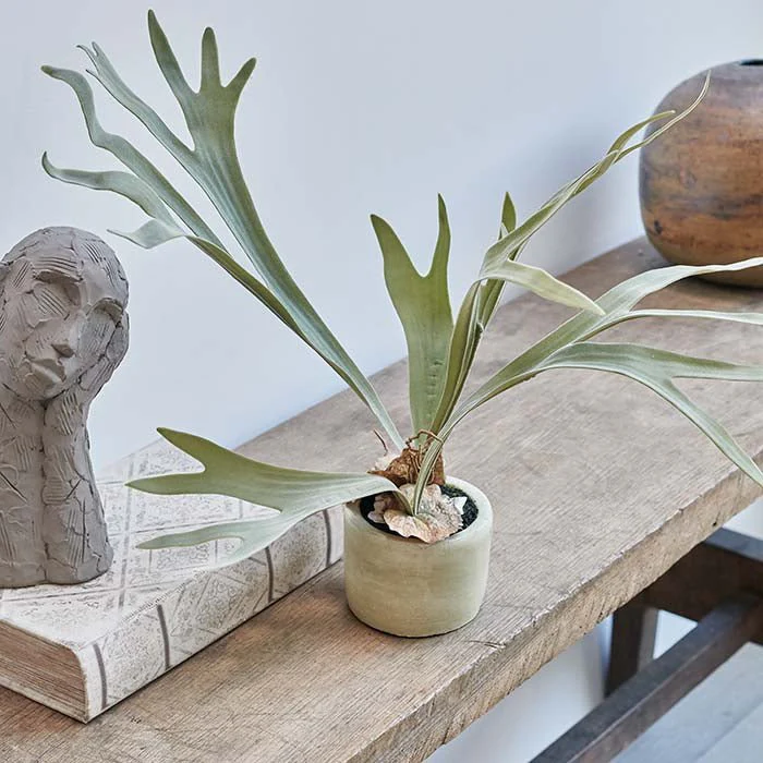 Artificial Staghorn Plant - Image 4