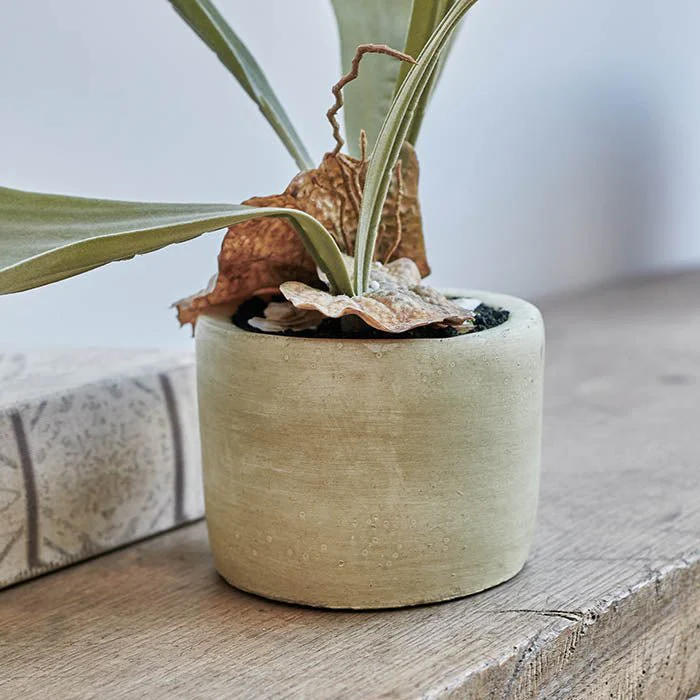 Artificial Staghorn Plant - Image 7