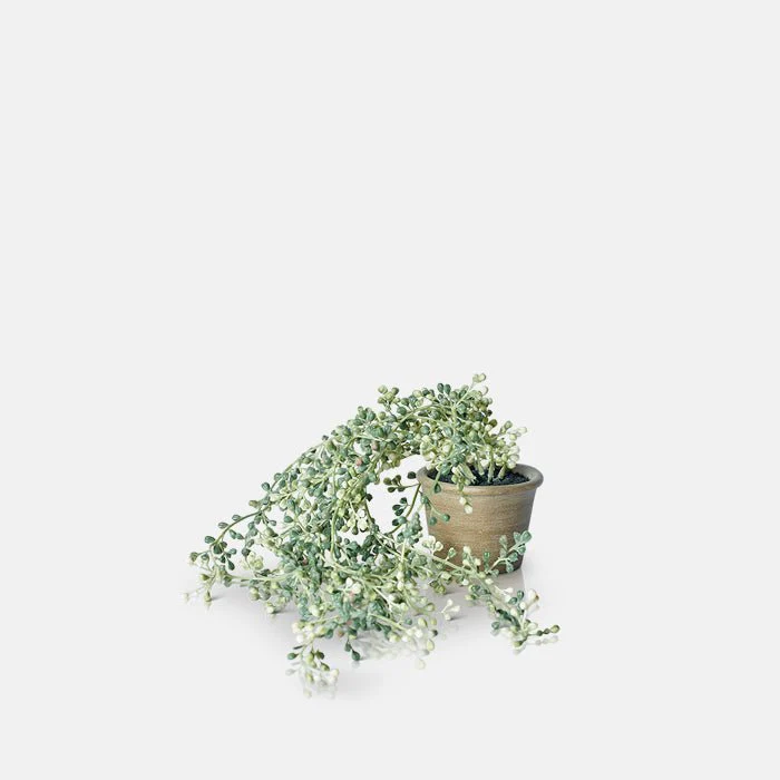 Artificial String of Pearls Succulent in Pot - Image 3
