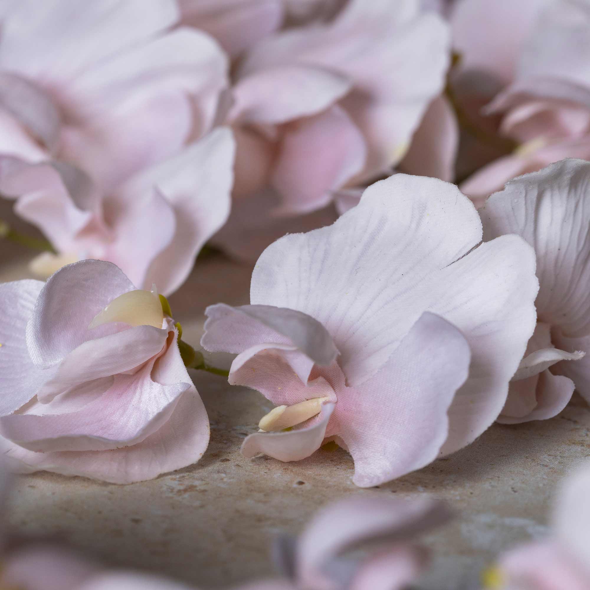 Artificial Sweet Pea - Image 7