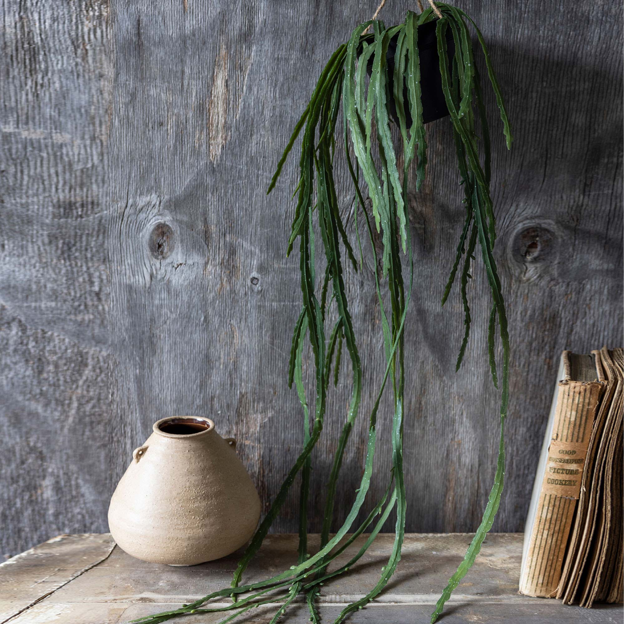 Artificial Trailing Cactus - Image 4
