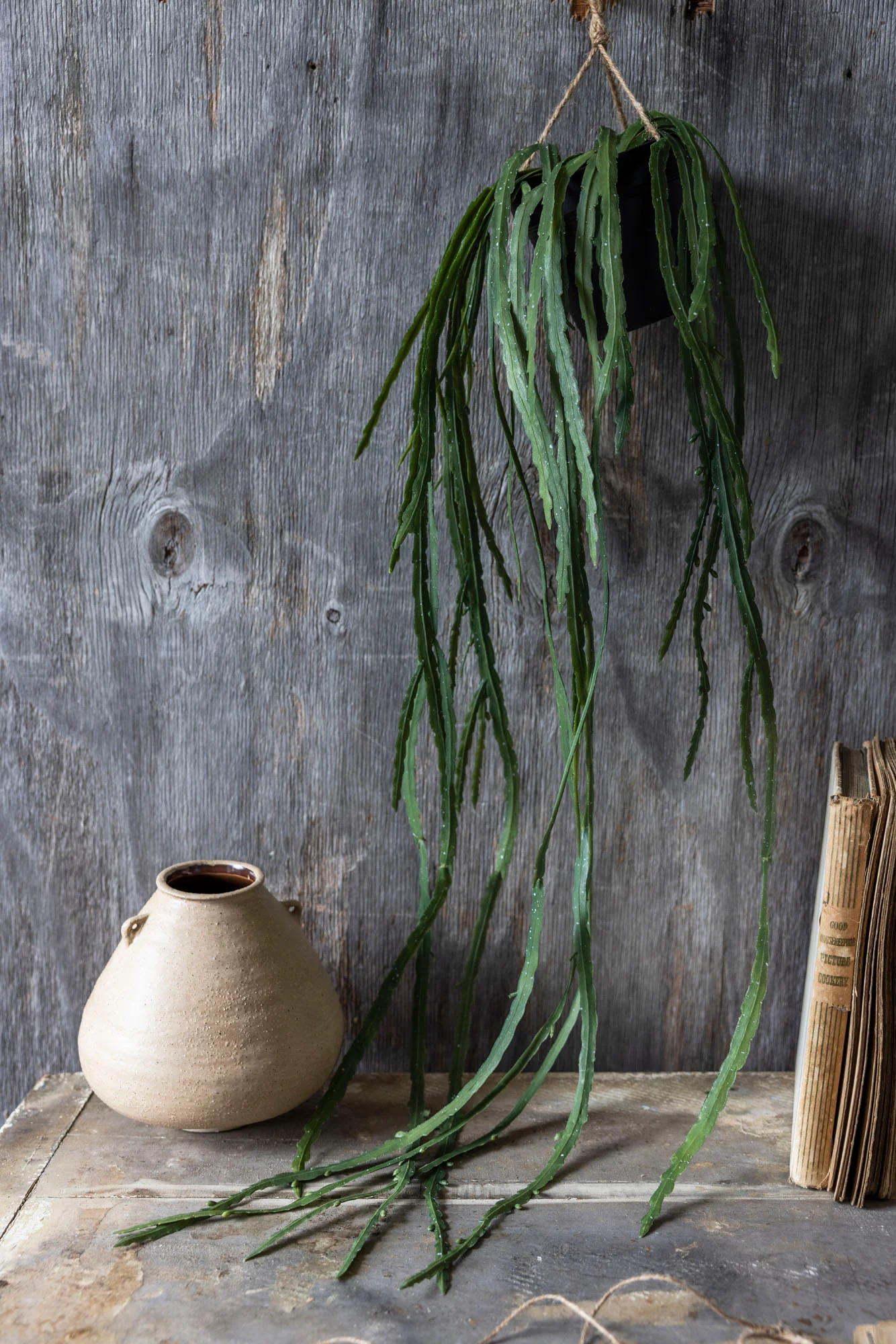Artificial Trailing Cactus - Image 5