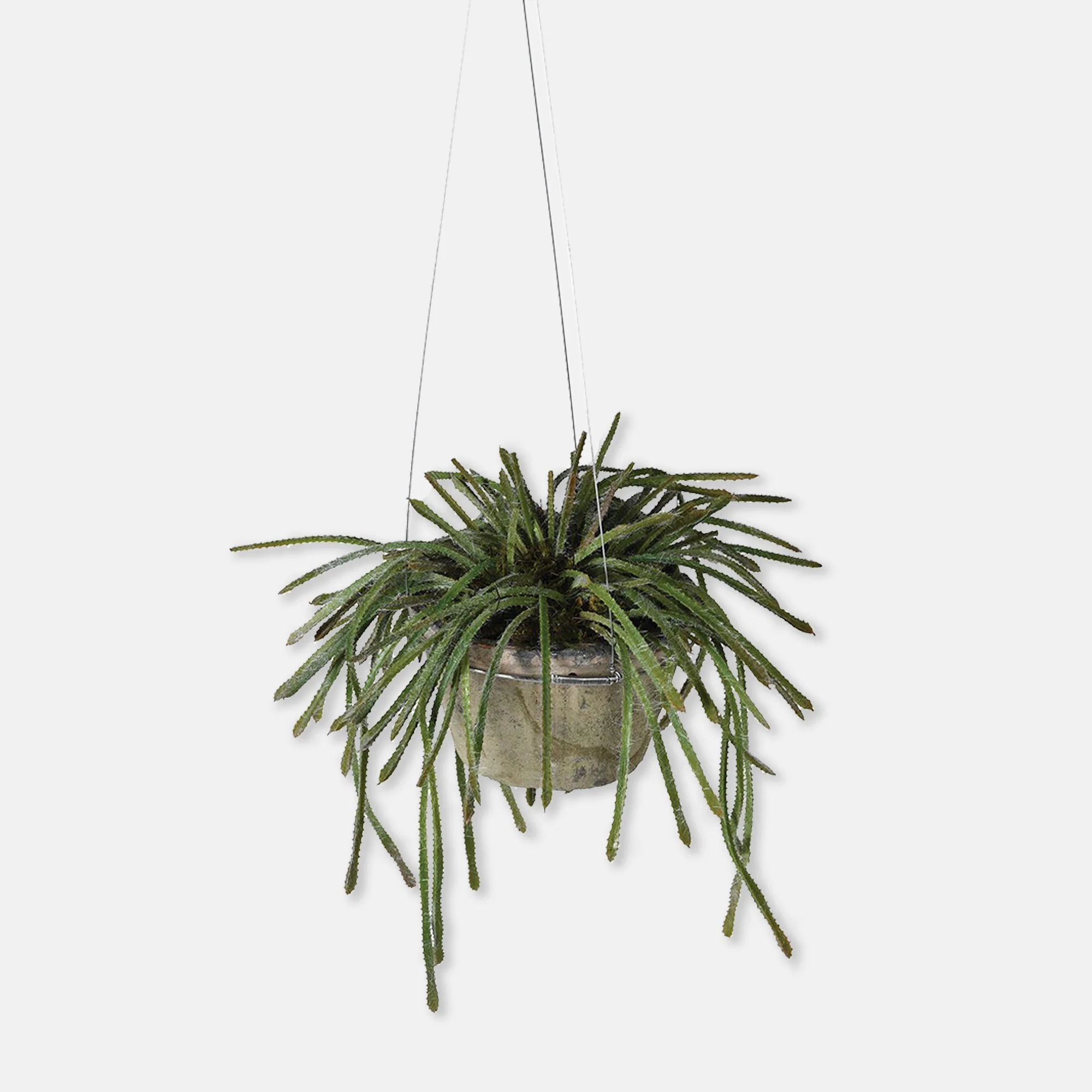 Artificial Trailing Cactus in Pot - Image 2
