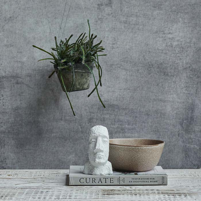 Artificial Trailing Cactus in Pot - Image 3