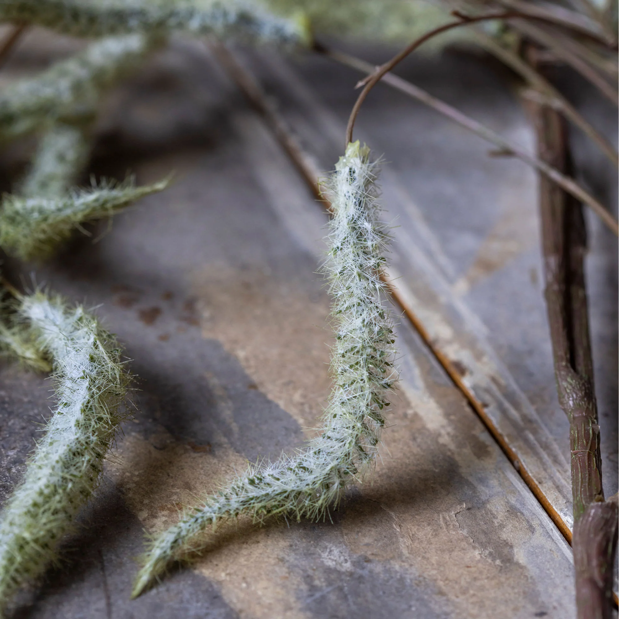Artificial Trailing Catkin - Image 2