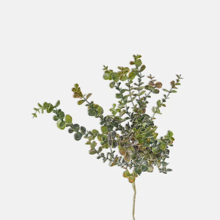 Artificial Trailing Eucalyptus Branch - Image 3