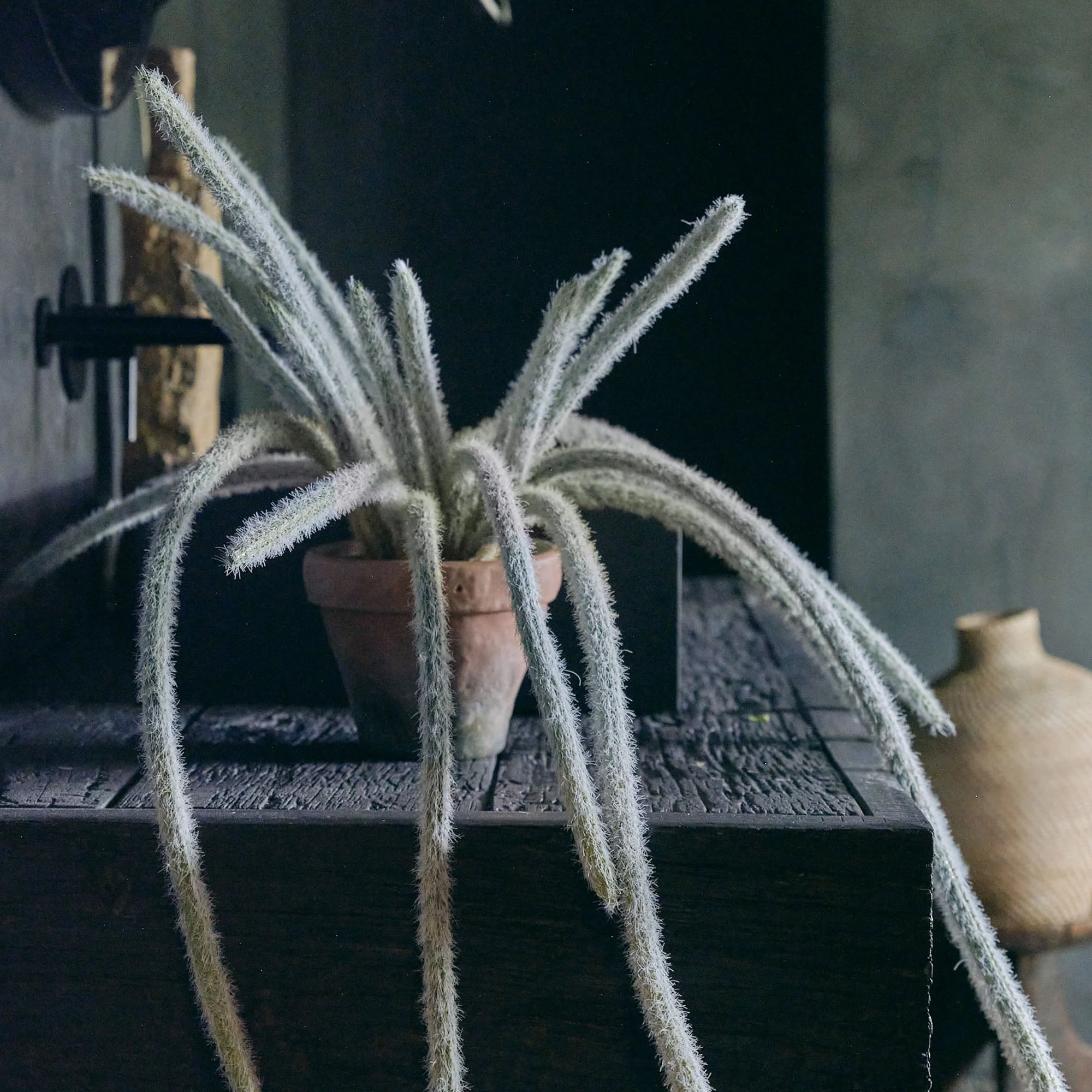 Artificial Trailing Monkey Tail Cactus - Image 3