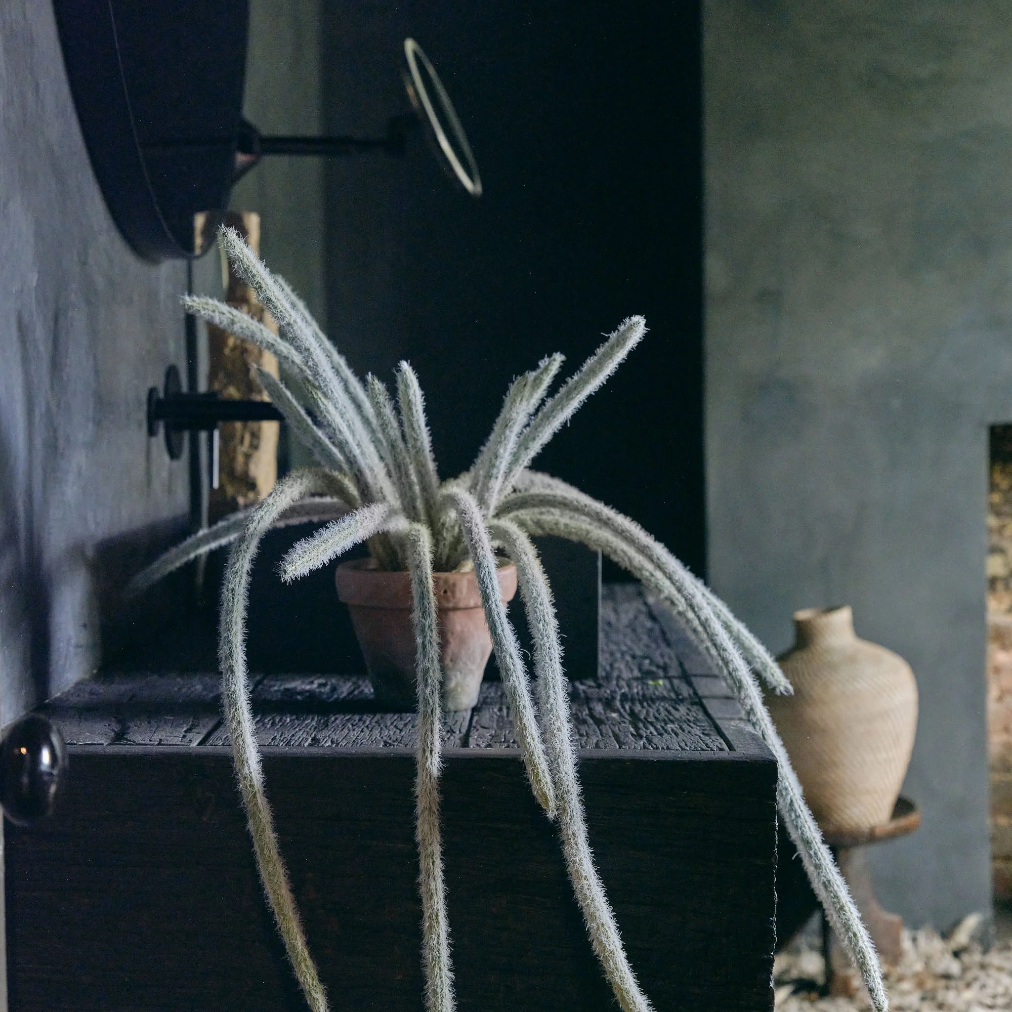 Artificial Trailing Monkey Tail Cactus - Image 4