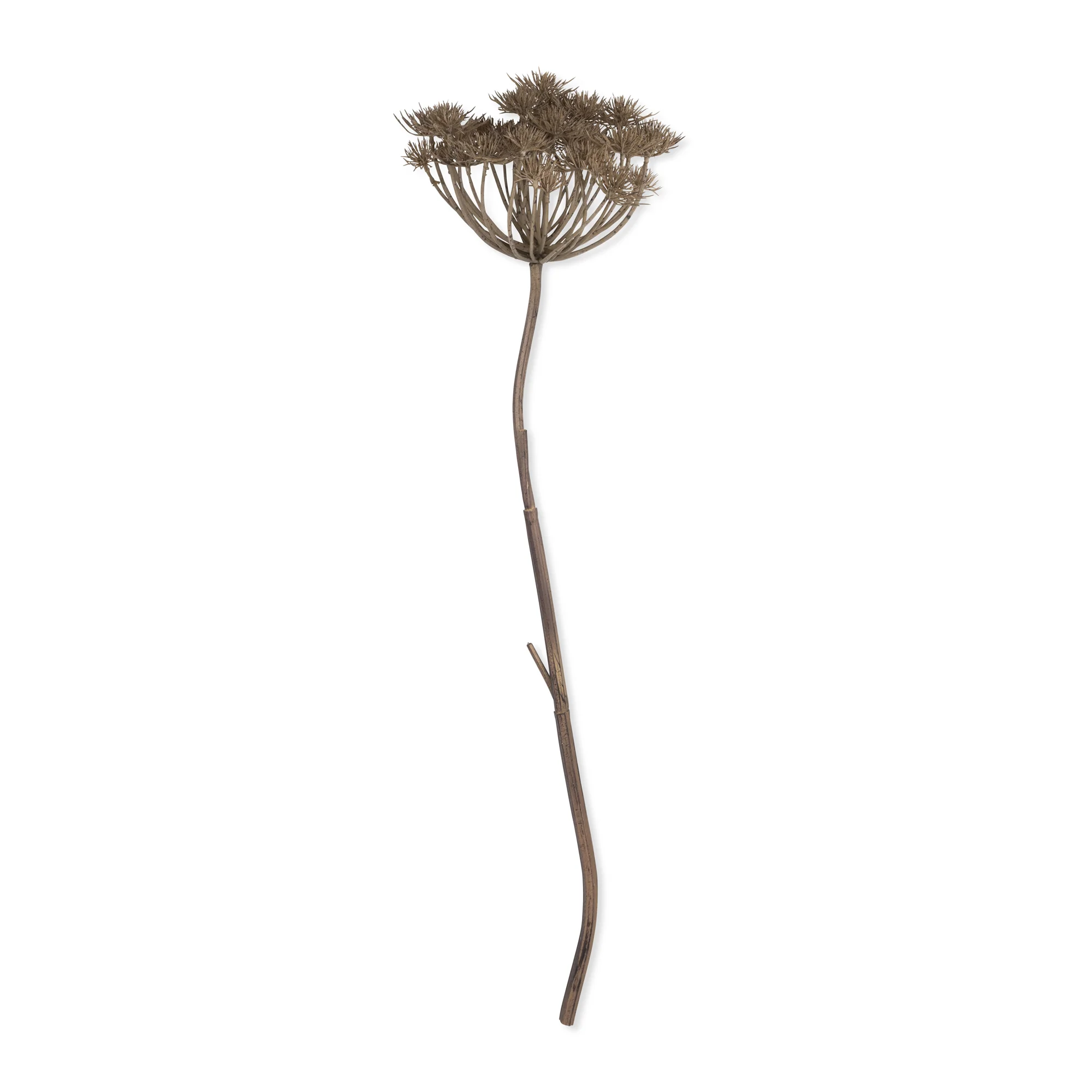 Artificial Wild Angelica - Image 3