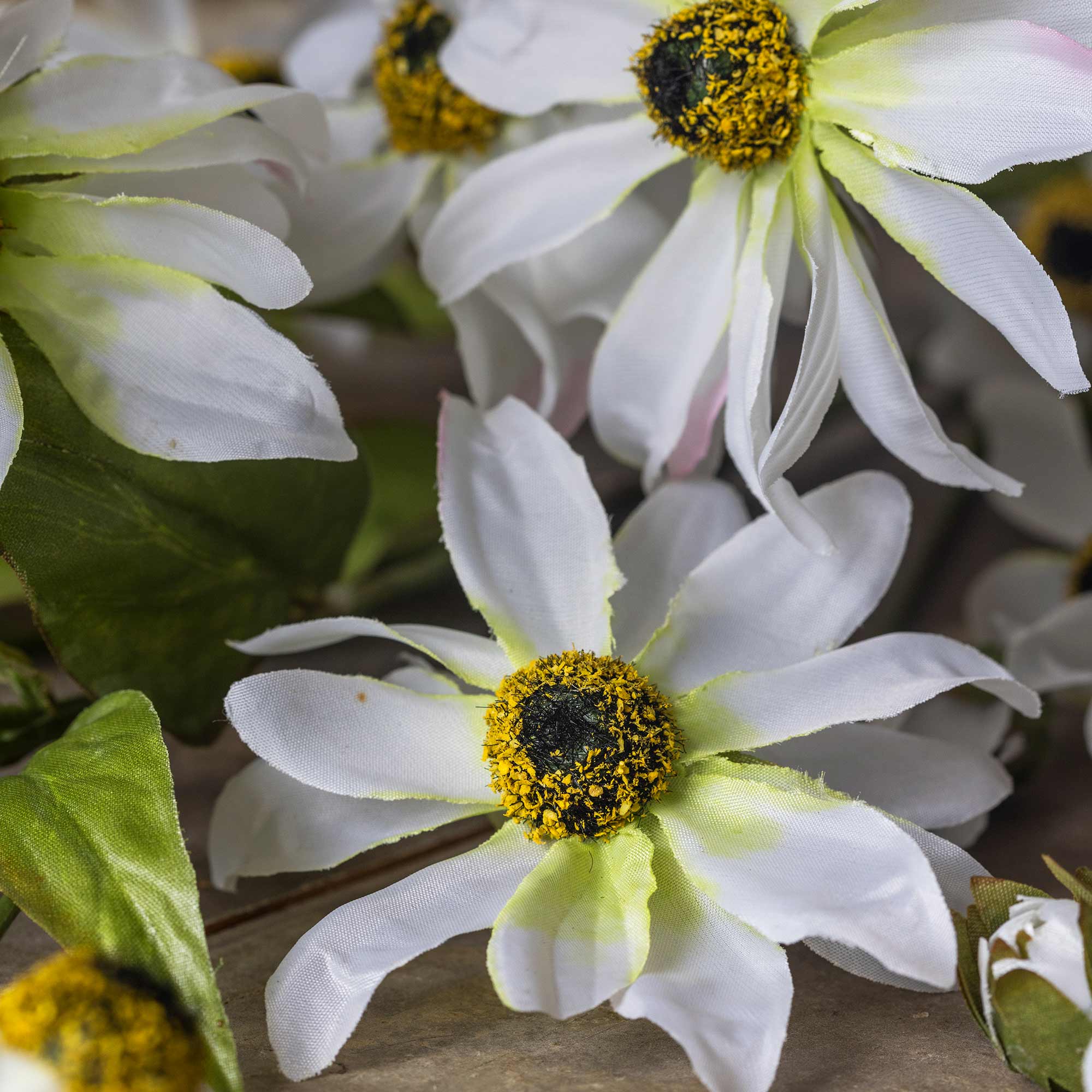Artificial Wild Cosmos - Image 6