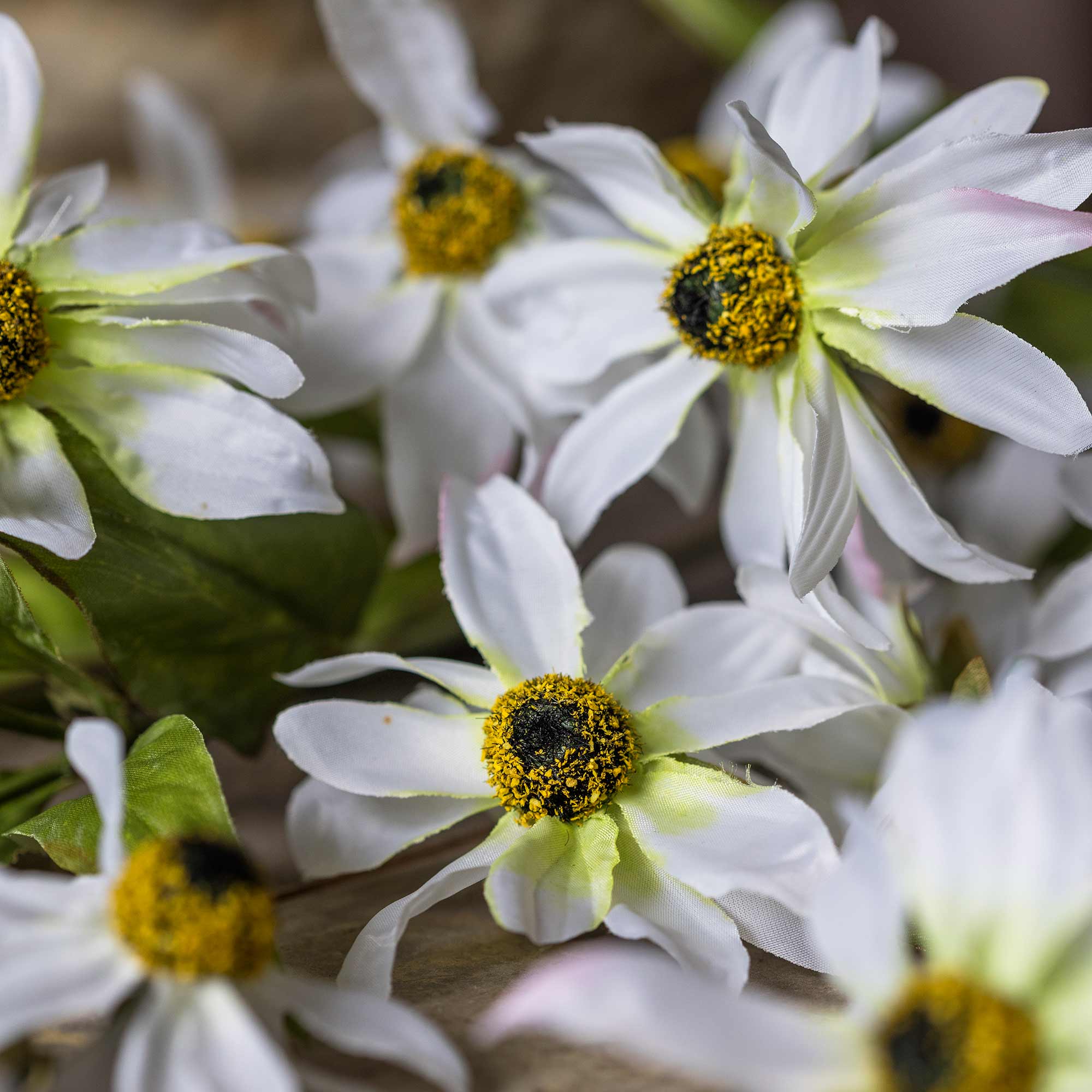Artificial Wild Cosmos - Image 7