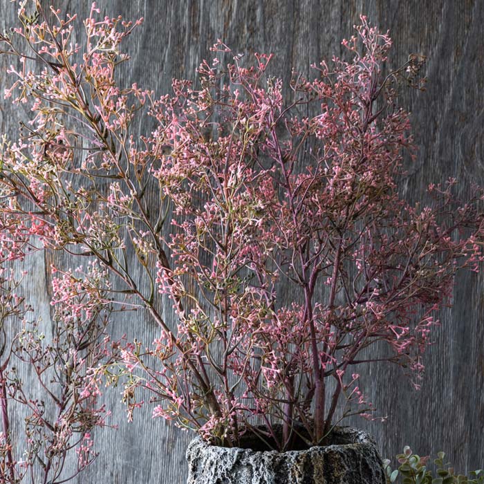 Artificial Wild Privet