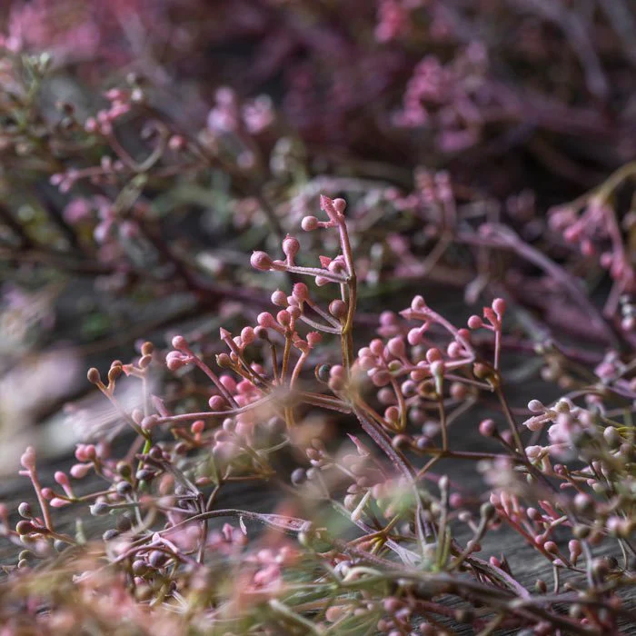 Artificial Wild Privet - Image 3