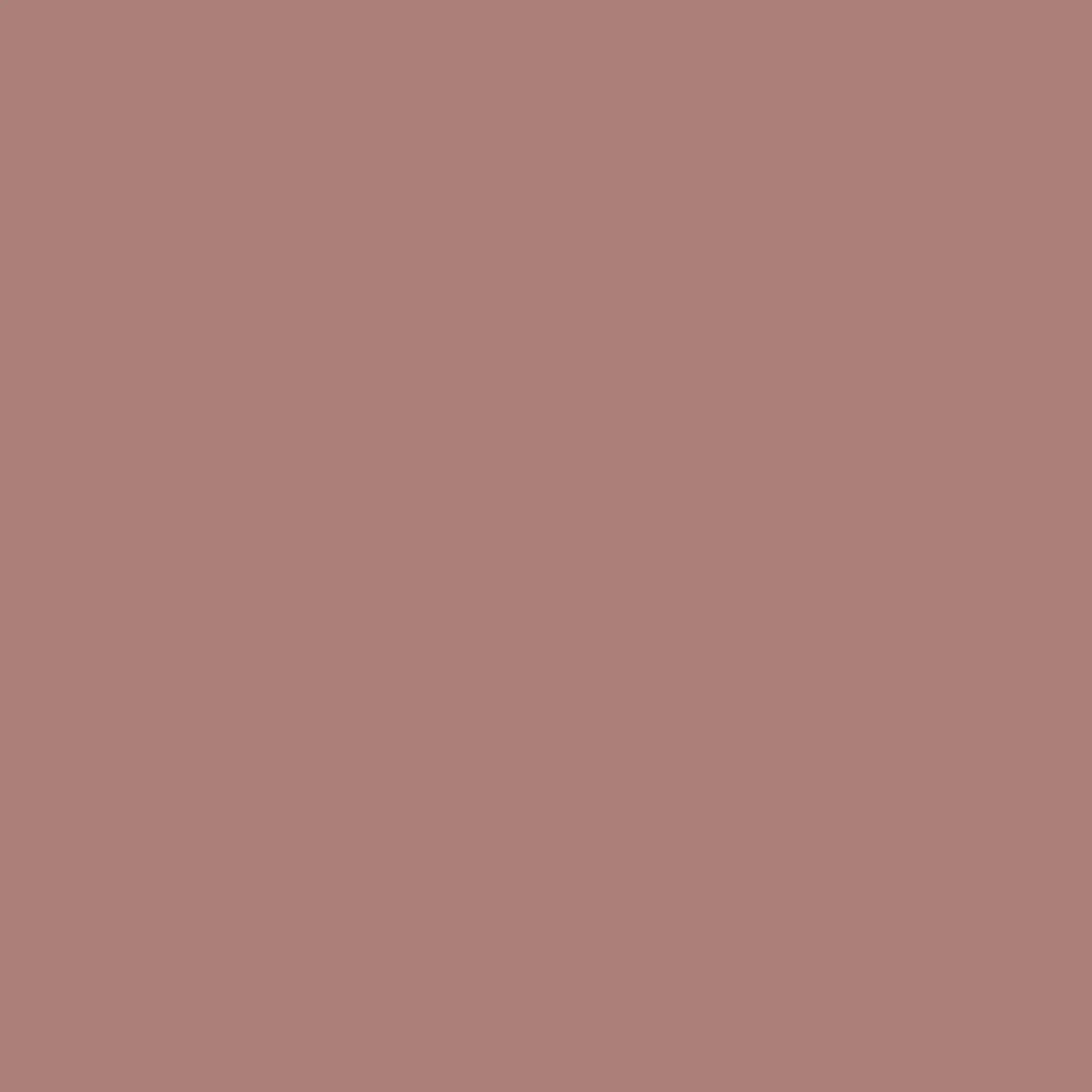 Baked Madagascar Paint - Image 4