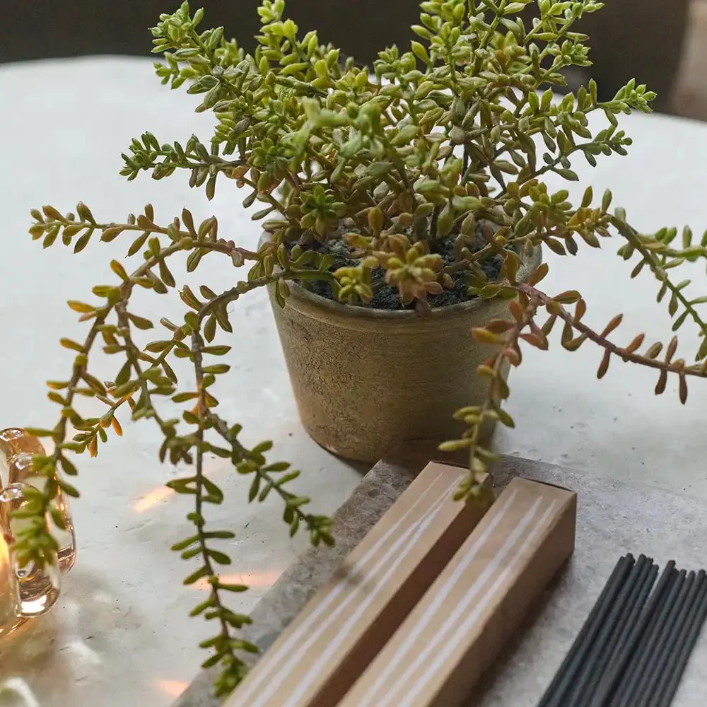 Artificial Burrito Sedum in Pot - Image 8