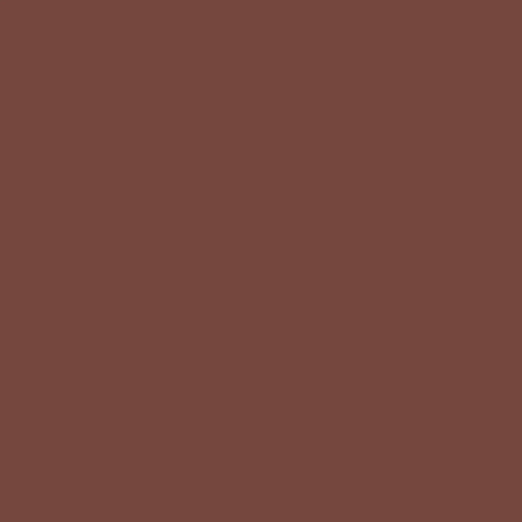 Earthen Nomad Paint - Image 4