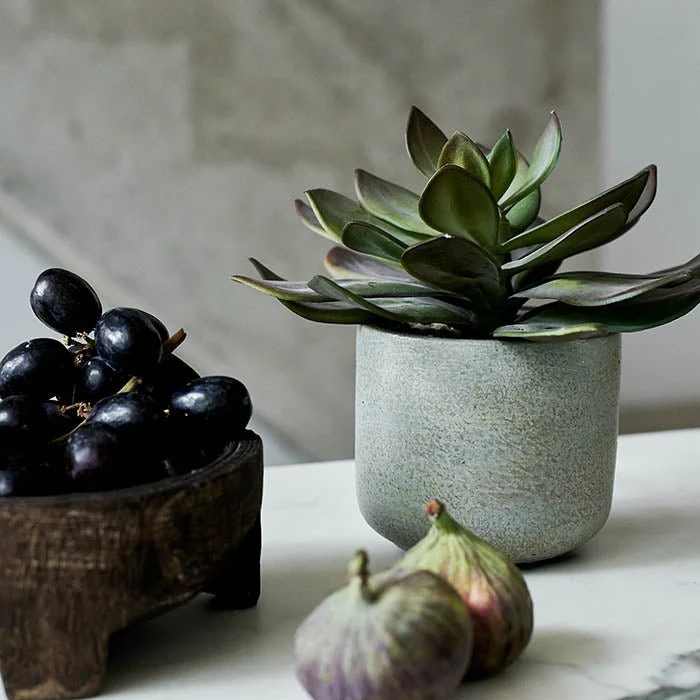 Artificial Echeveria Green Prince - Image 6