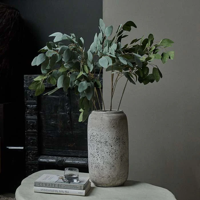 Eucalyptus Populus - Image 4