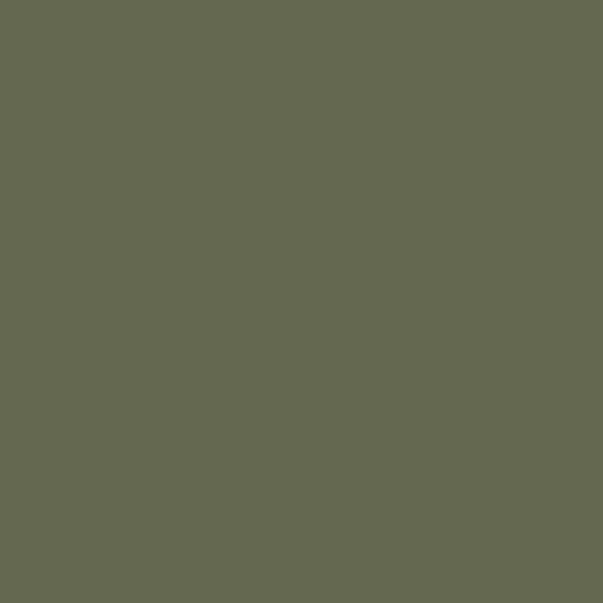Kelp Harbour Paint - Image 4