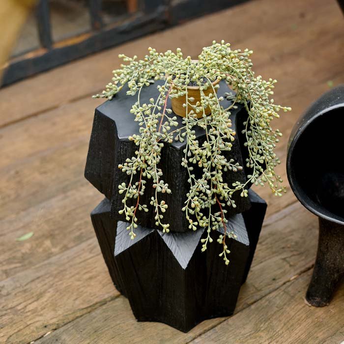 Lucita Side Table - Image 5