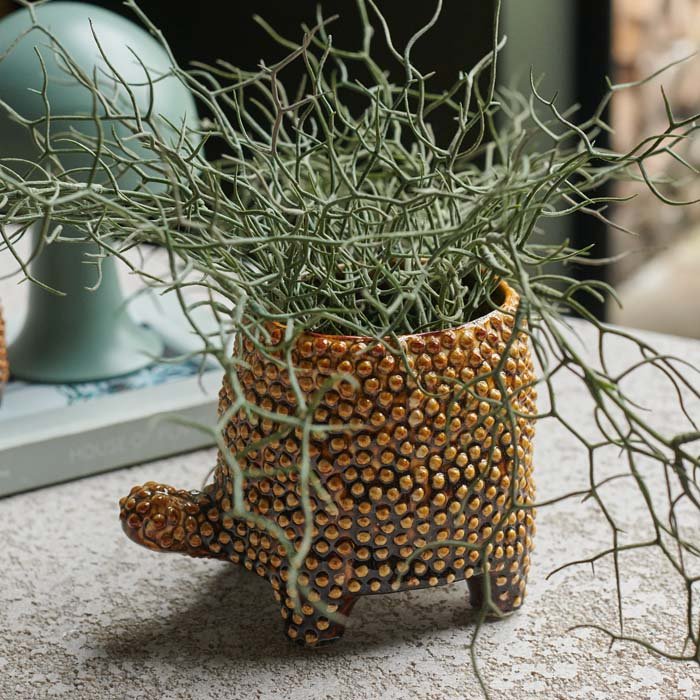 Tortoise Pot - Medium