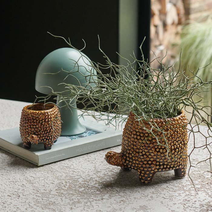 Tortoise Pot - Medium - Image 2