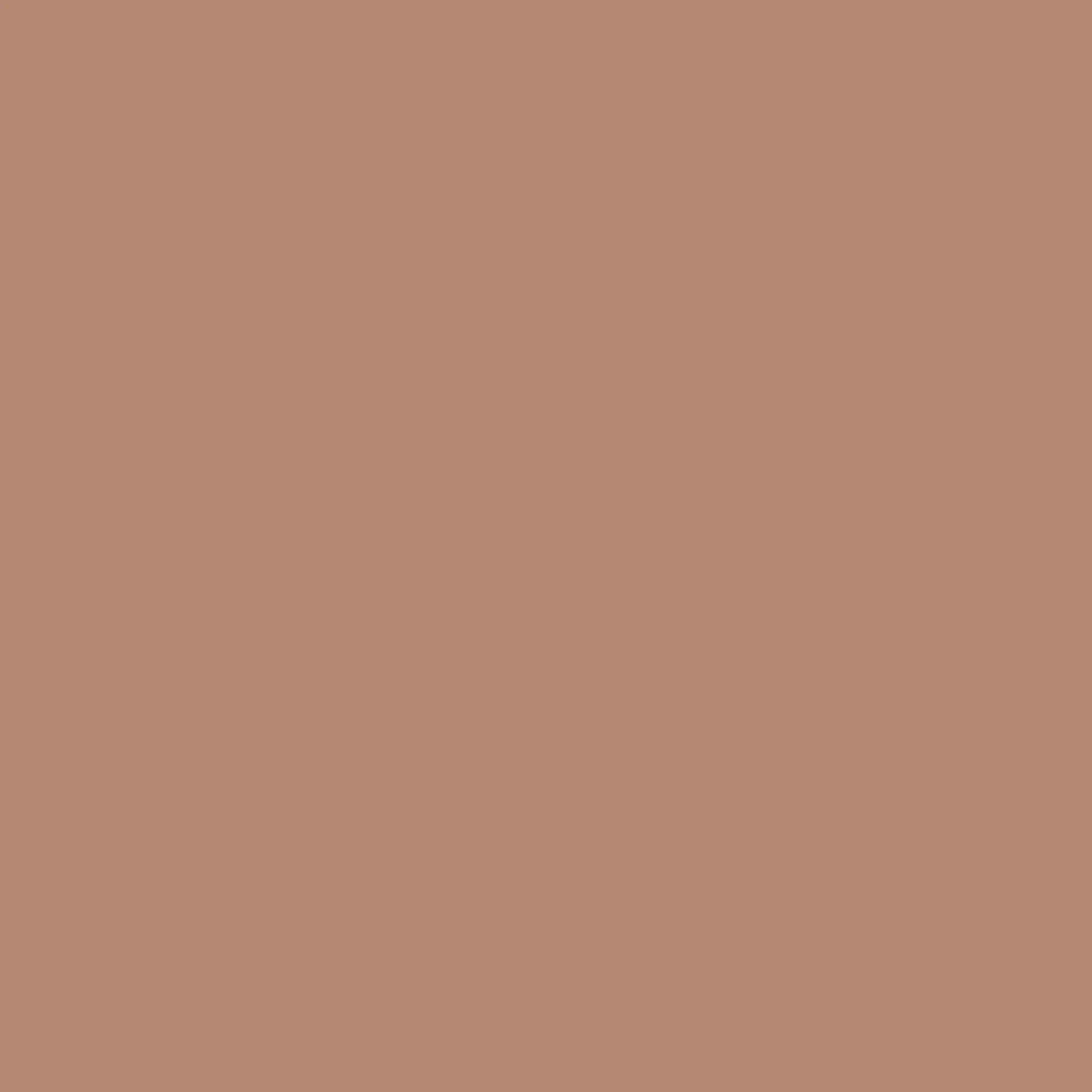 Nordic Mist Paint - Image 4