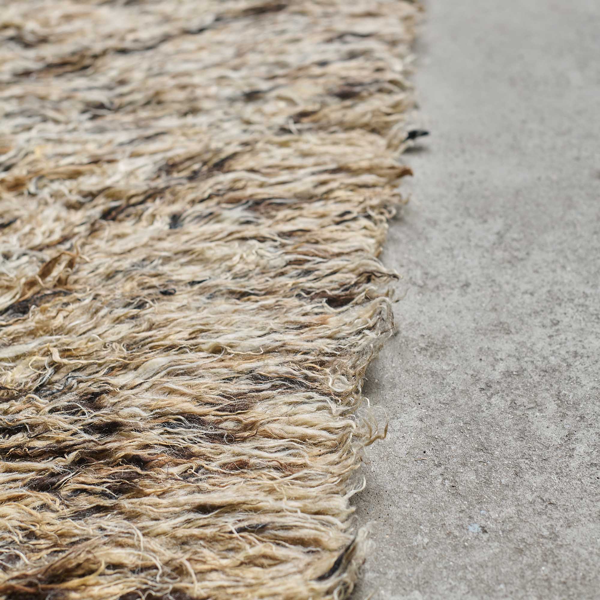 Pachar Rug - Image 5
