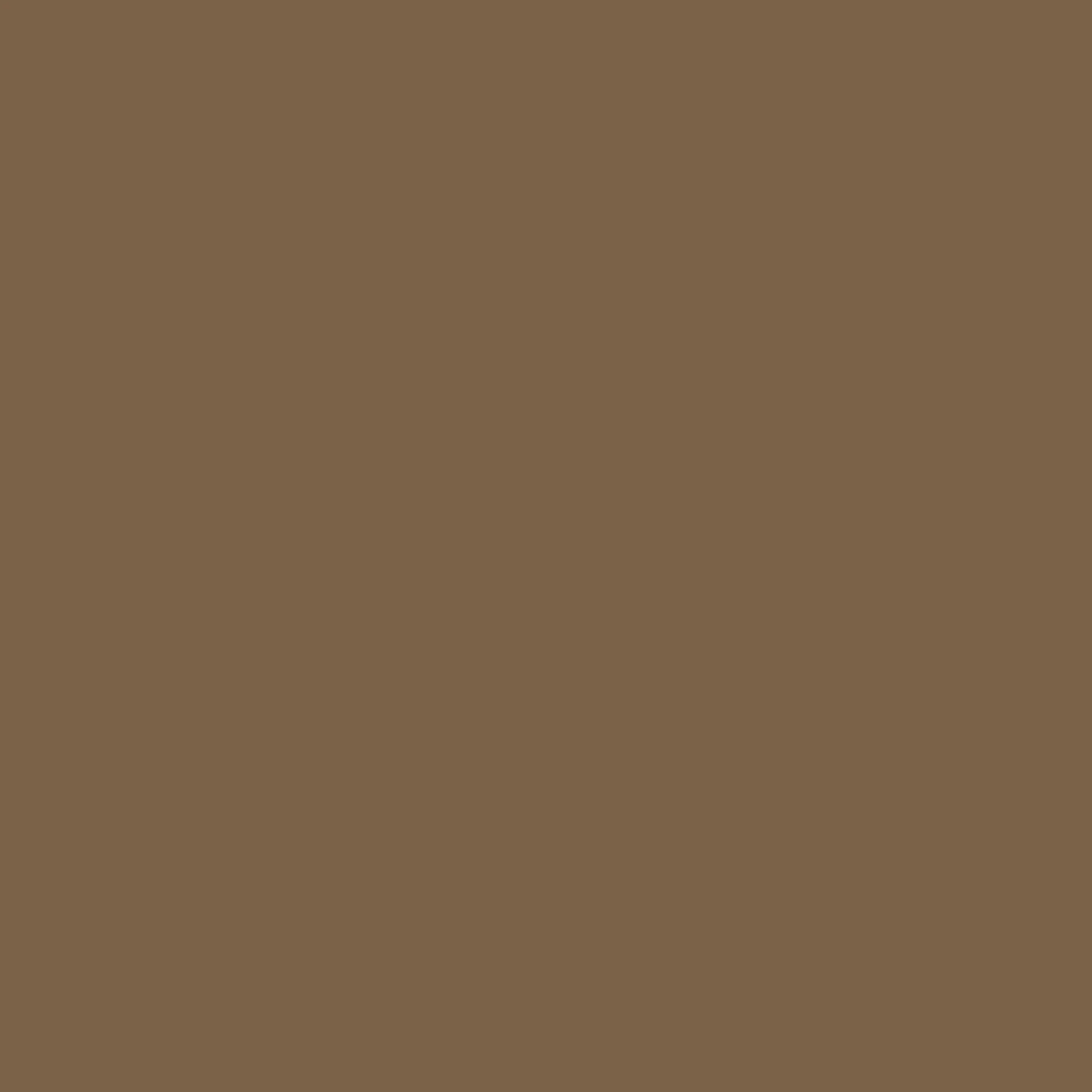 Summer Earth Paint - Image 4