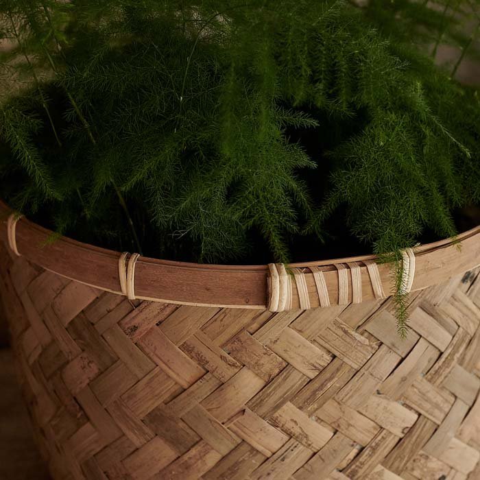 Sunnie Bamboo Plant Pot - Image 3