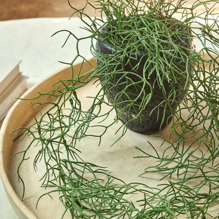 Artificial Trailing Asparagus Fern - Image 2