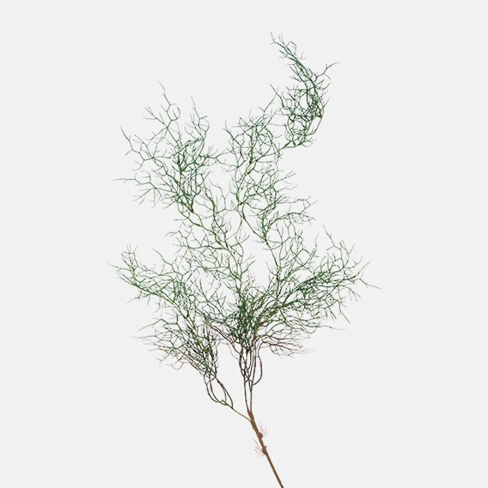 Artificial Trailing Asparagus Fern - Image 3