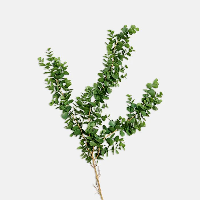 Artificial Trailing Eucalyptus Bush - Image 2