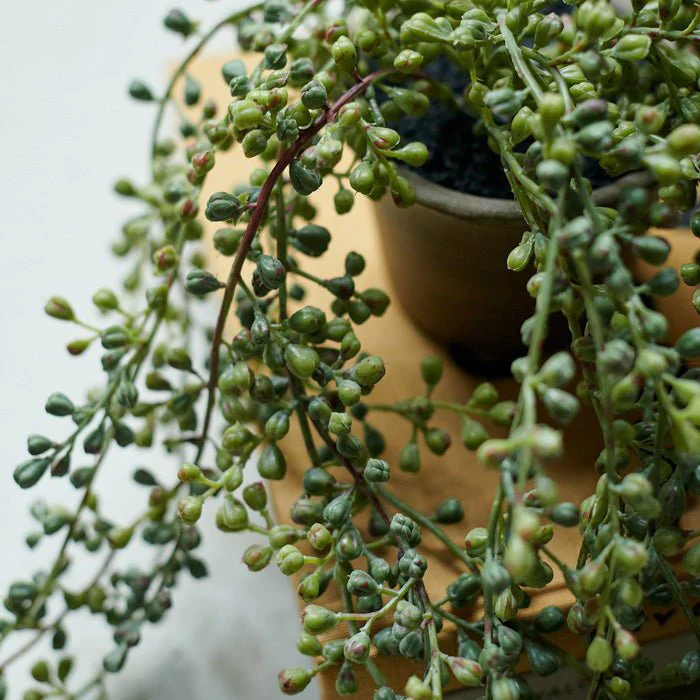 Artificial Trailing String of Beads - Image 3